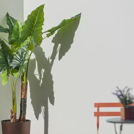 Island Bliss * ポンタ・デルガダ